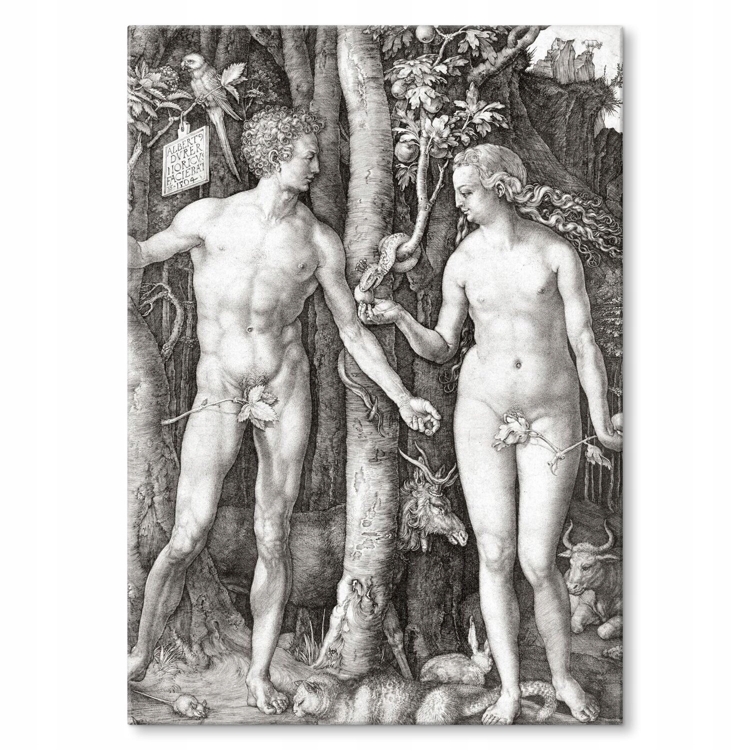 Kovový plakát Adam Eve Albrecht Durer Dárek 30 x 42 cm