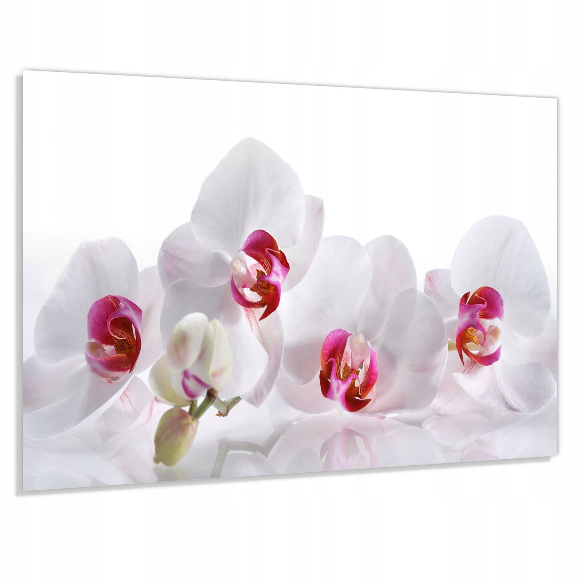 Kalený Panel 4 mm 60x40 cm Ochranný Lacobel Do Kuchyne Dekoračný