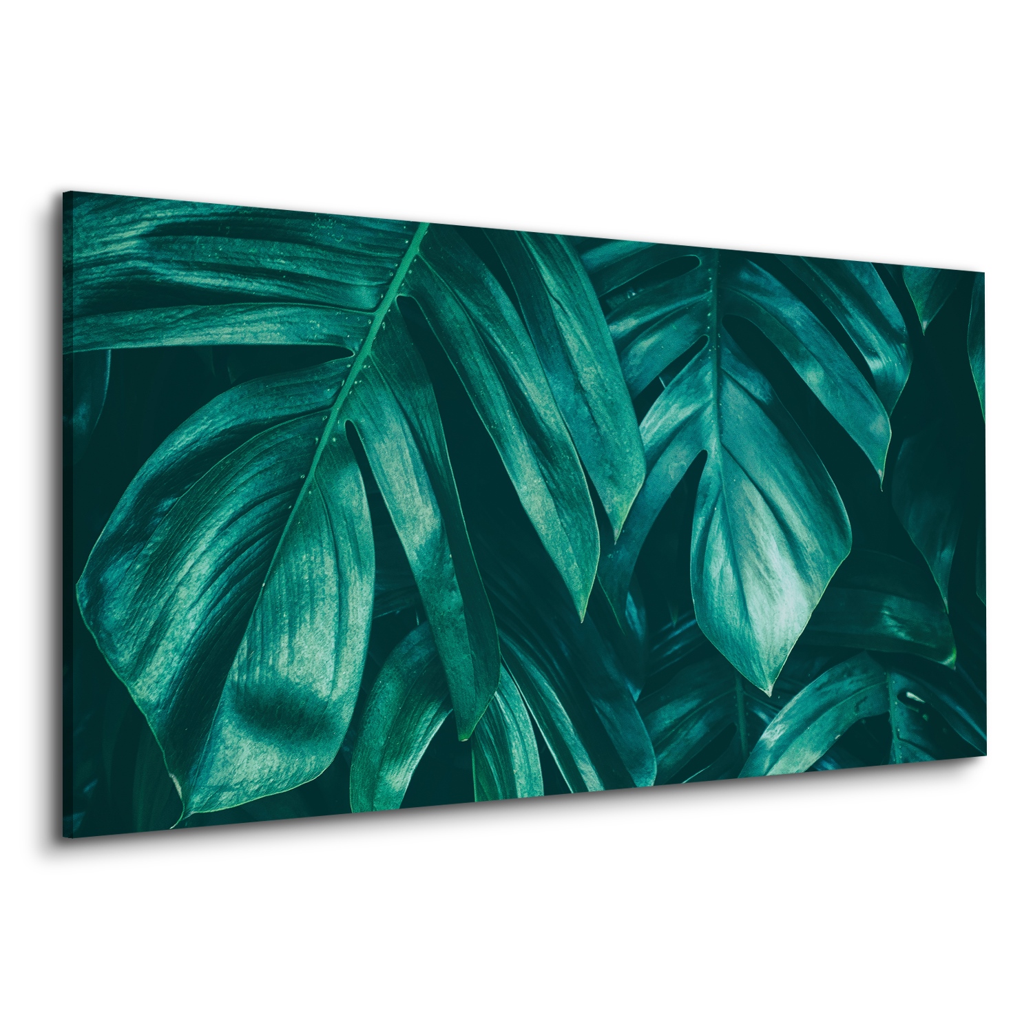 

Obraz na płótnie do salonu roślina monstera 120x60