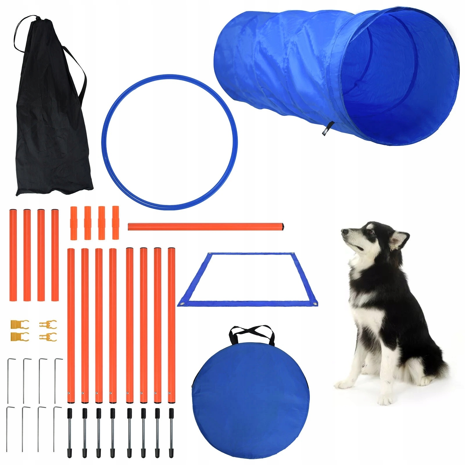 Sada na agility pro psy modrá pro výcvikové hry Agility