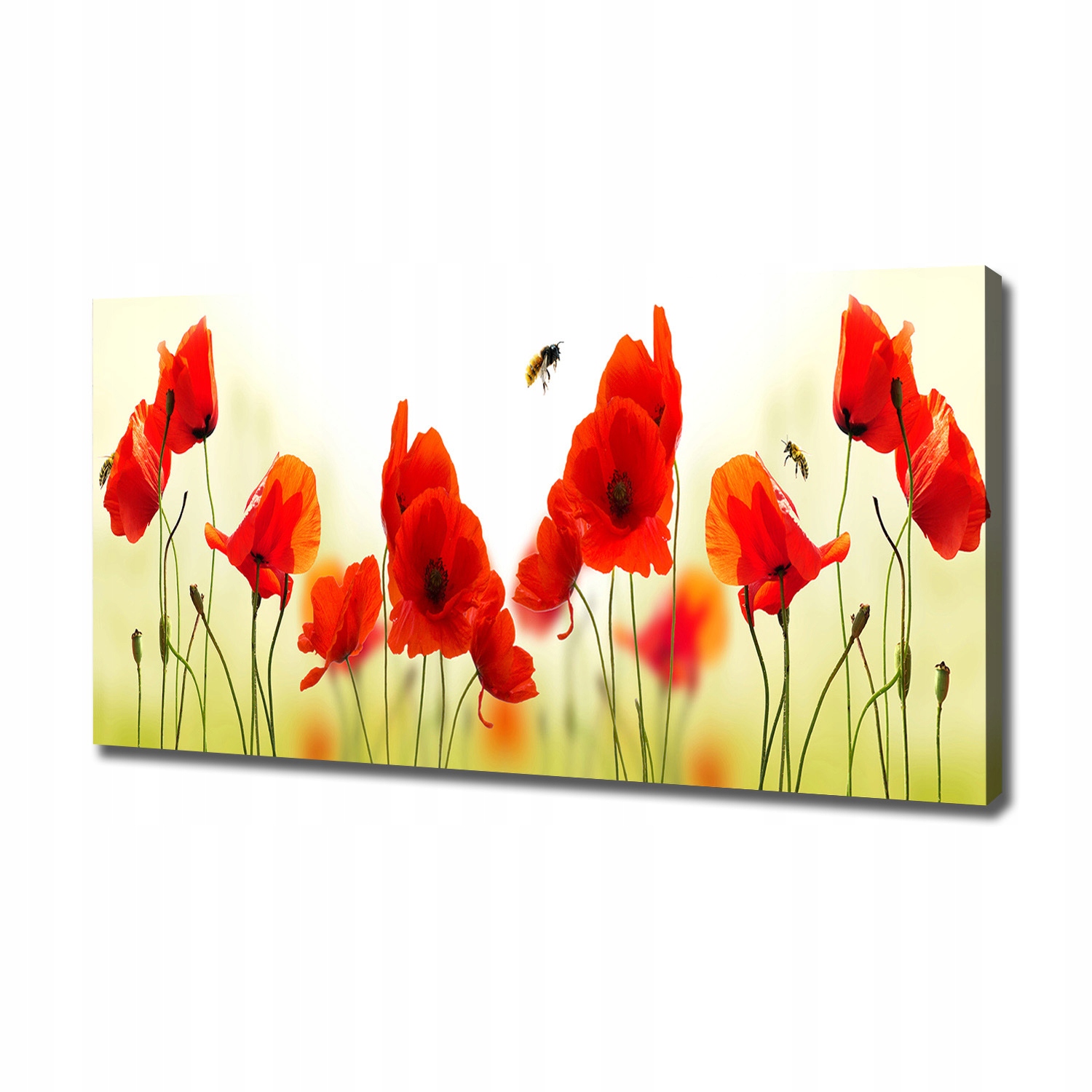 Moderní obraz na plátně fotografie Máky 120x60 cm