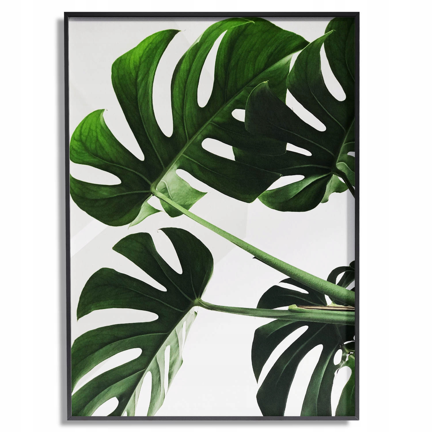 Plakat BEZ RAMKI A2 (40x50) wzór KWIATY 52