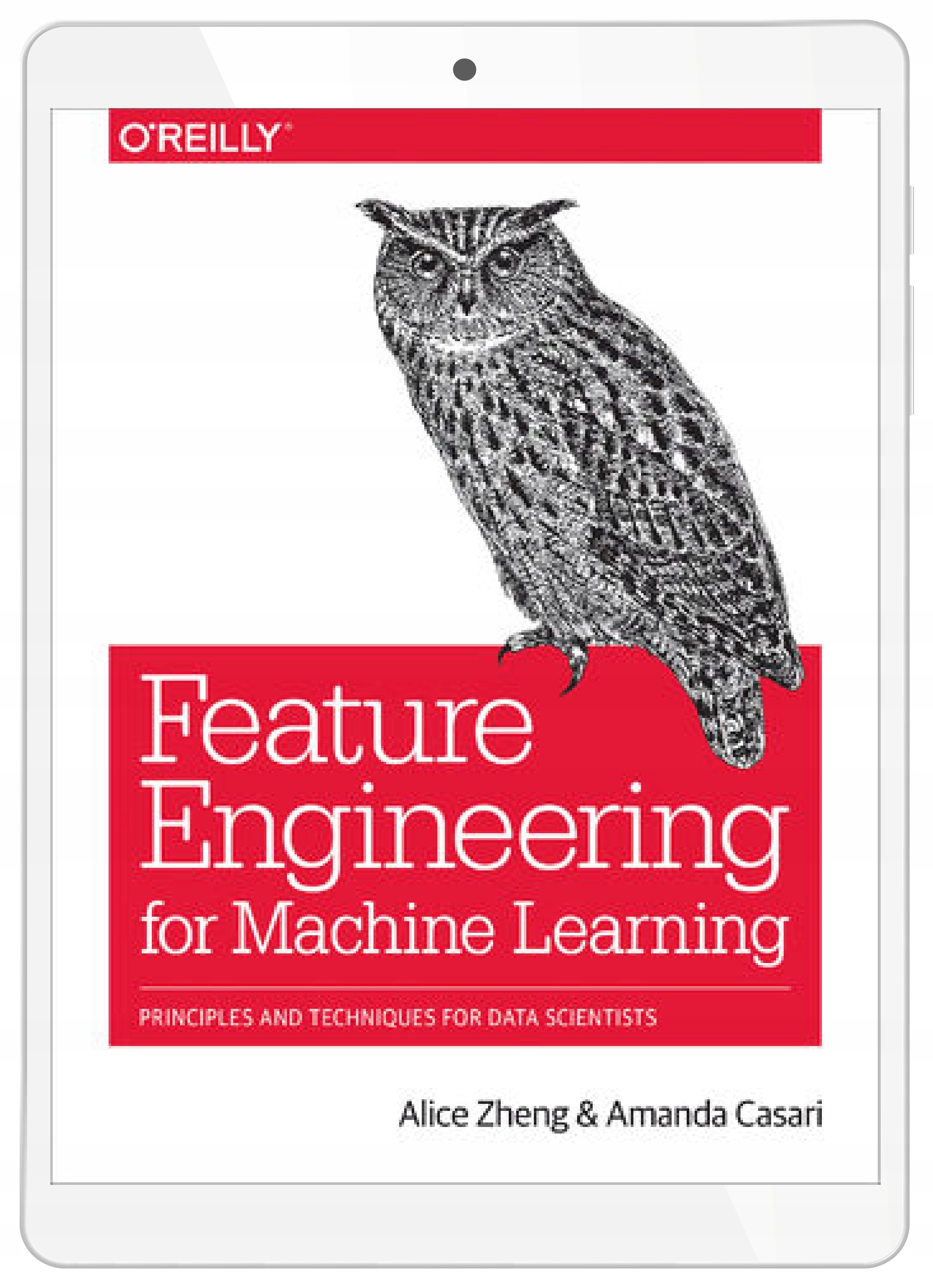 Feature Engineering for Machine Learning