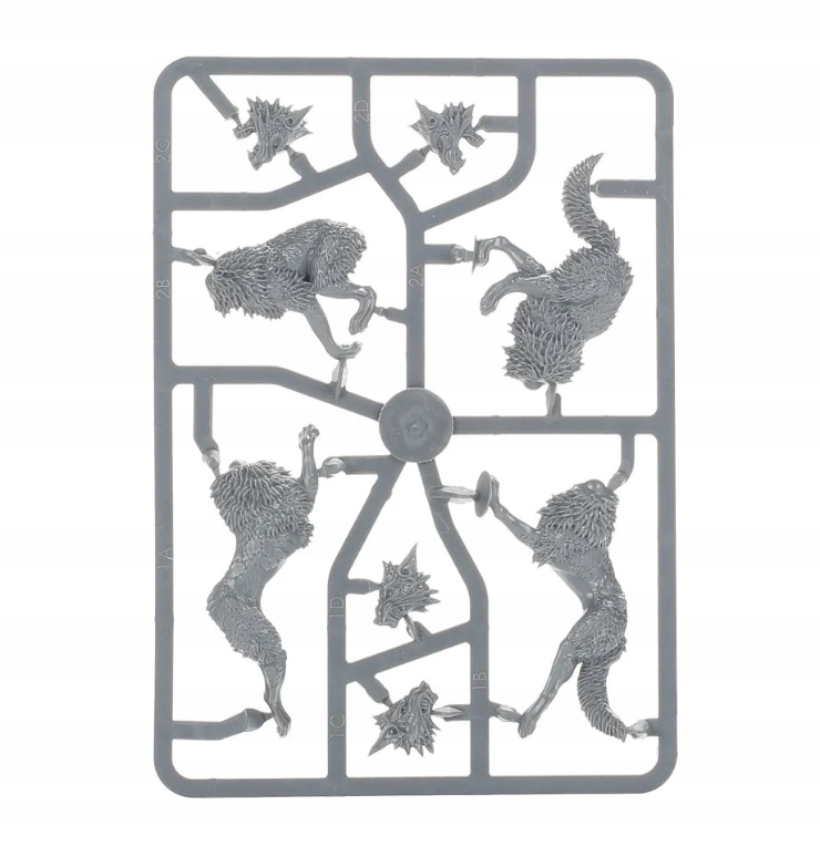 Space Wolves - Fenrisian Wolves System Warhammer 40000