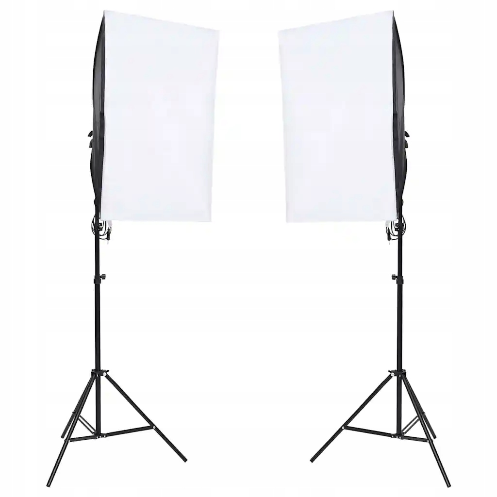 vidaXL Profesjonalne lampy studyjne, 2 szt., 40x60 cm