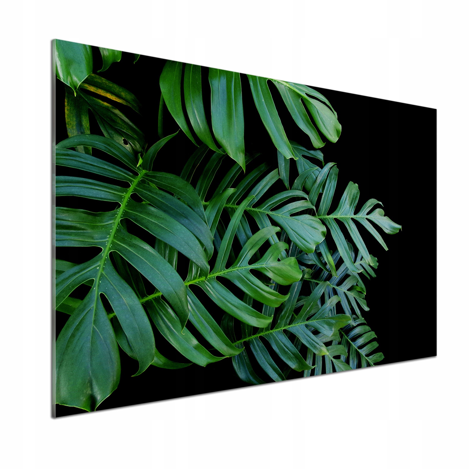 Panel mezi kuchyňským nábytkem Monstera 100x70 Lepidlo