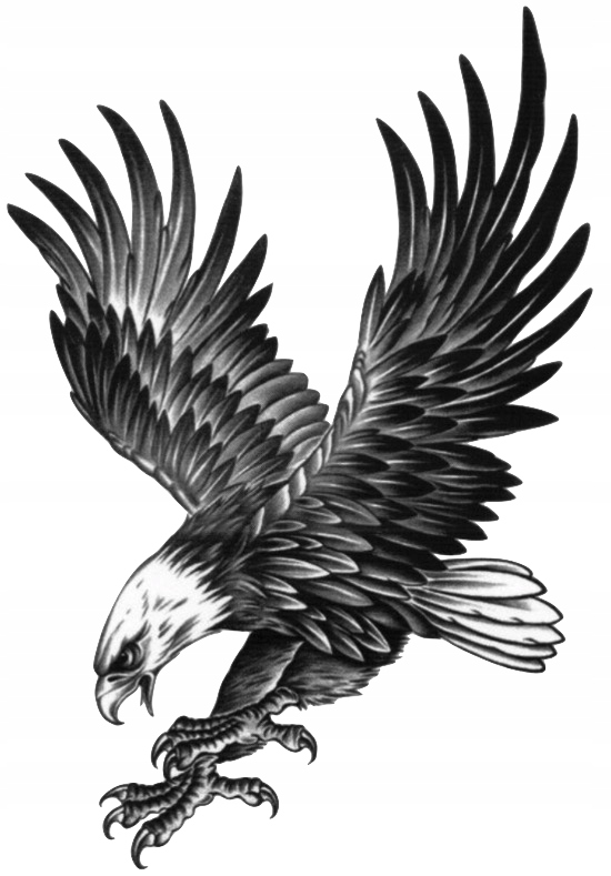 

Tatuaż tymczasowy wodny orzeł ptak skrzydła pazur