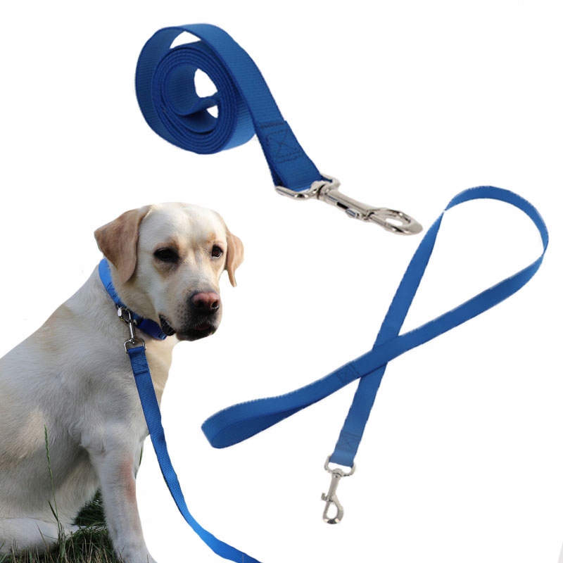 

Solidna Smycz Taśmowa Materiałowa dla Psa 120cm L