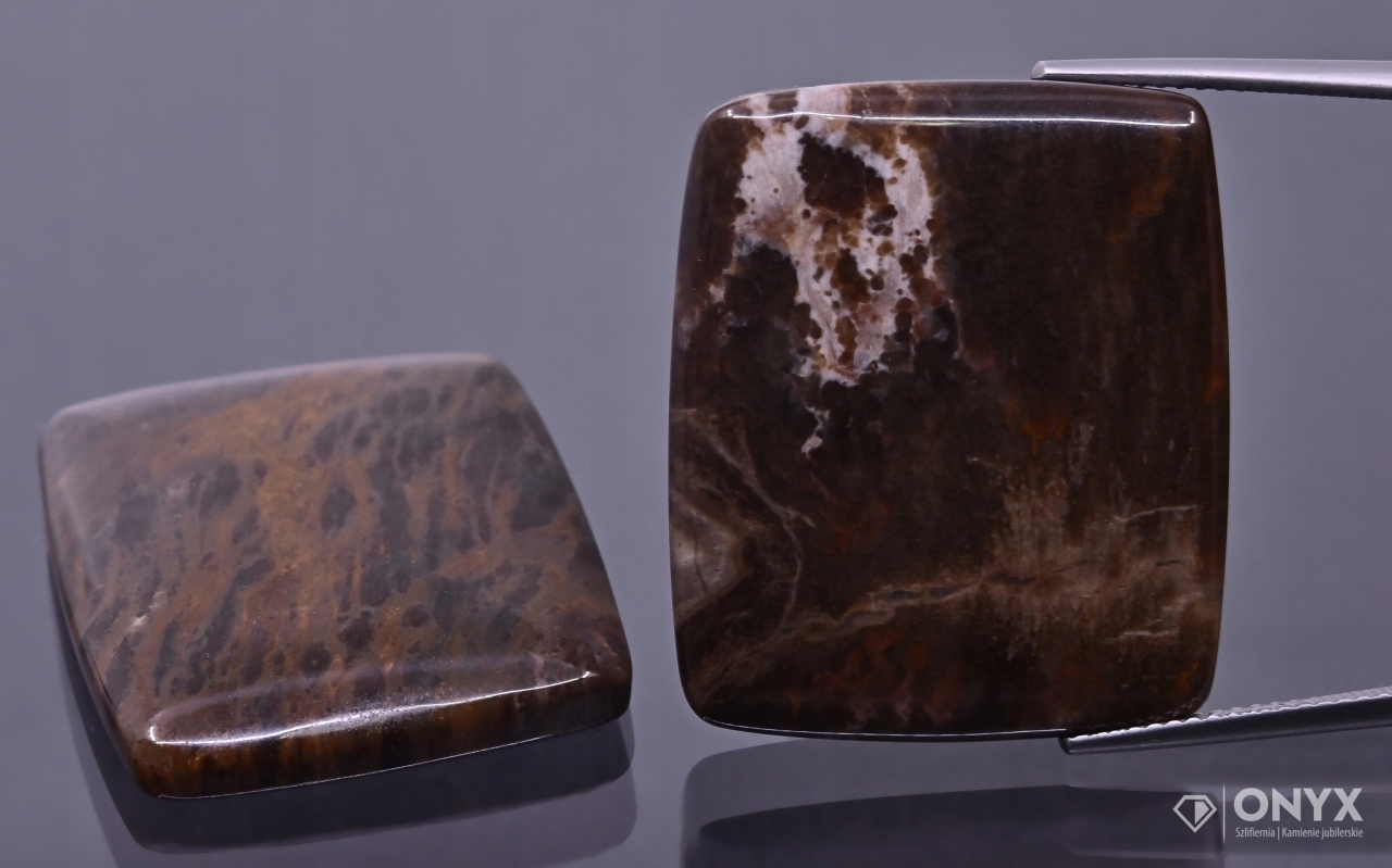 Zkamenělé dřevo nízký kabošon cushion 28,5x24 mm