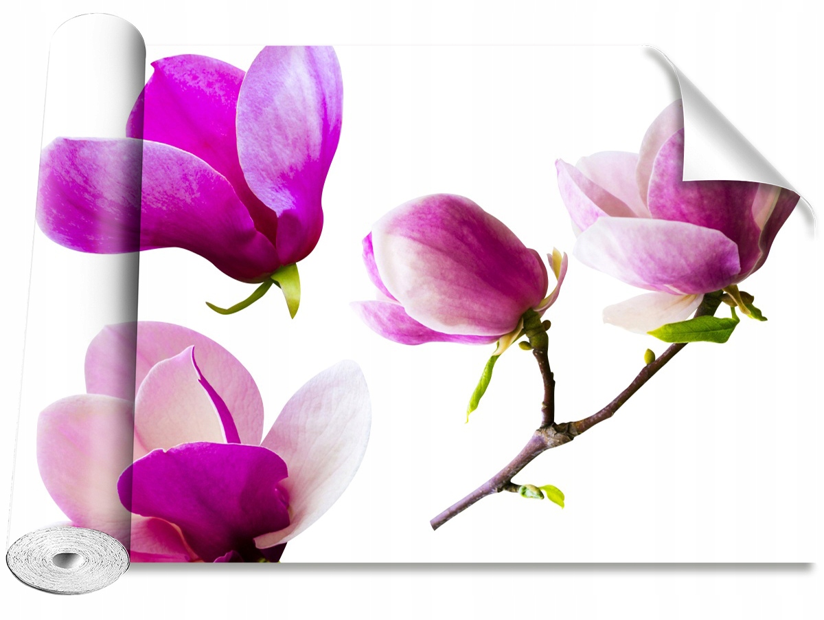 

Tapeta Samoprzylepna Kwiaty magnolii - 312x219