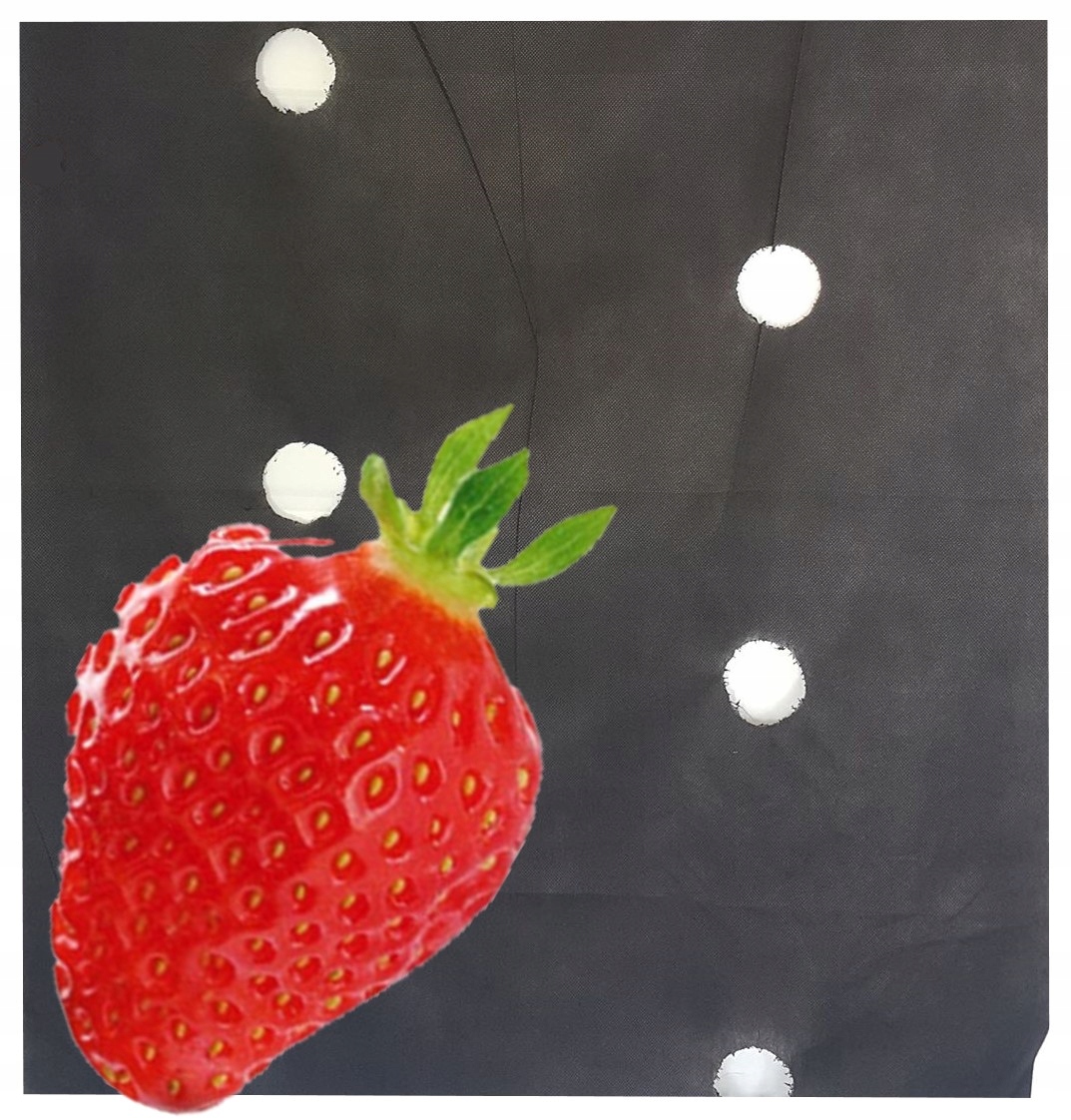 

Agrowłóknina Otwory Pod Truskawki 80 cm x 10m