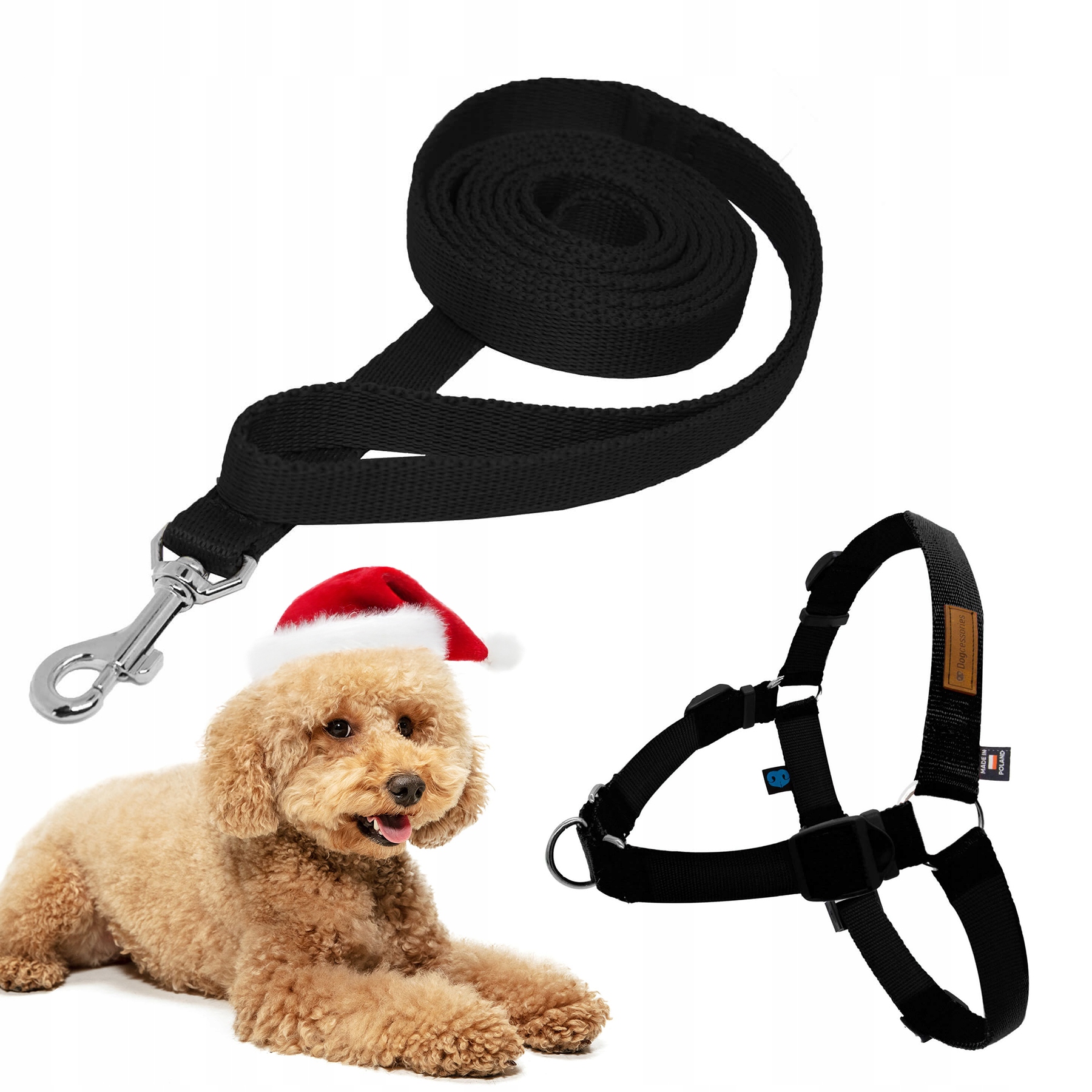 Sada Vodítko a postroje easy walk pro malého psa 3 m černá