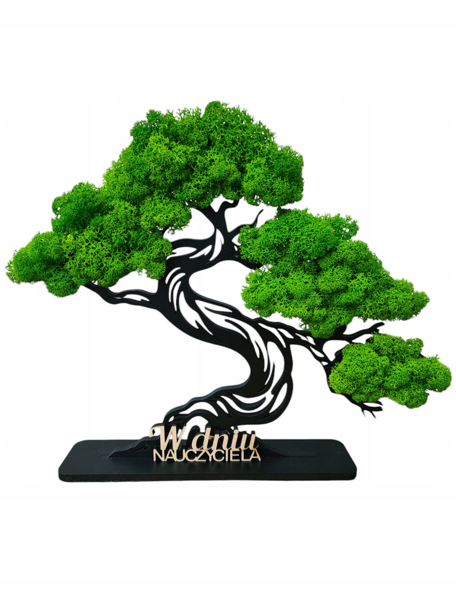 Bonsajové dřevo s Mechem Chrobotkem stojící stromek Libovolný Nápis dárek