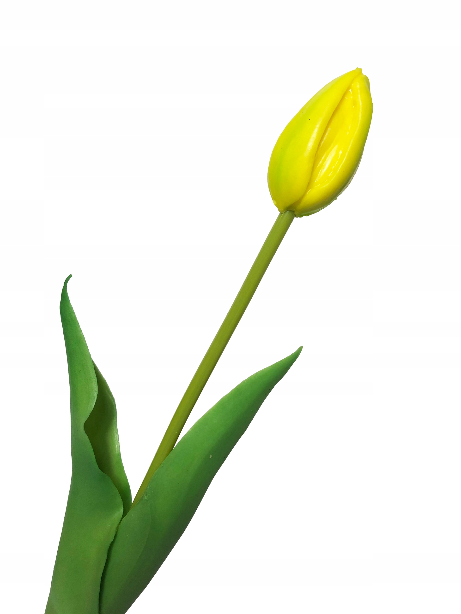 

Tulipan Gumowany Tulipany jak Żywe Kwiaty Żółty