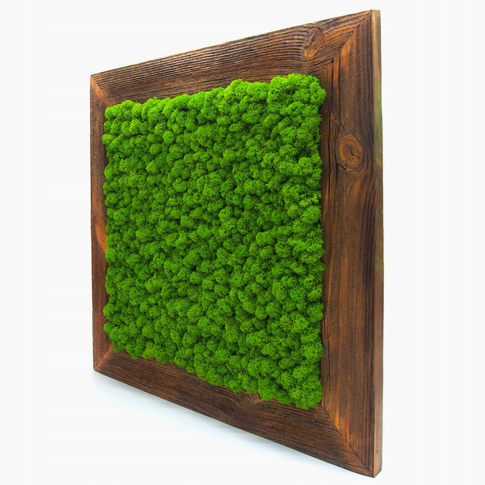 OBRAZ Z MCHU w drewnianej ramie 100x100 mech chrobotek ŻYWY OBRAZ handmade Marka inna