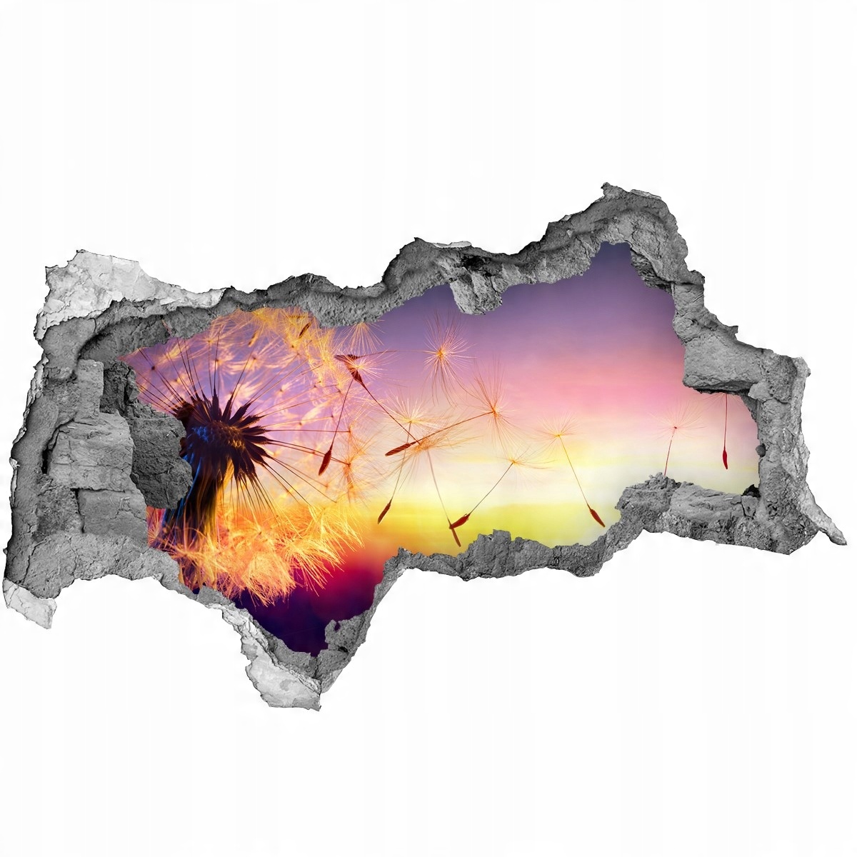 

Fototapeta Naklejka na ścianę Dmuchawiec 115x88