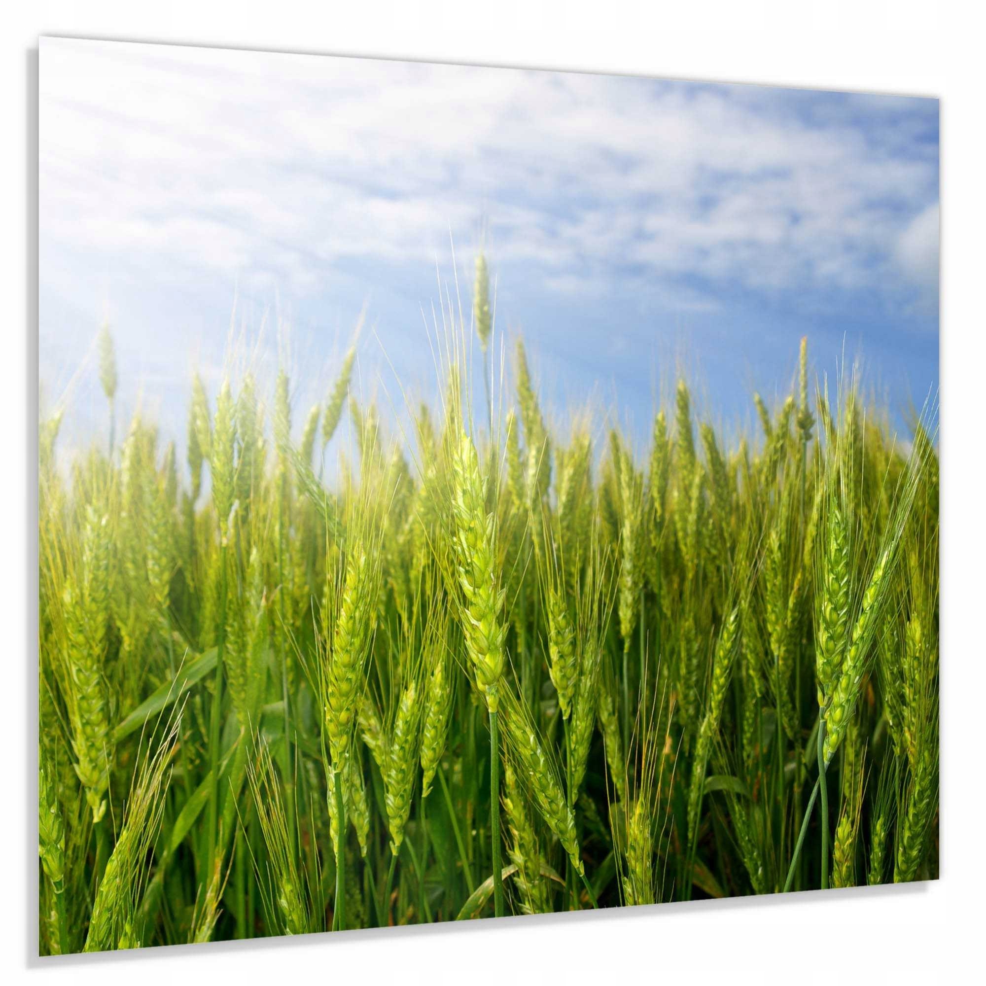 Tvrdený Panel 4 mm 50x60 cm Lacobel Do Kuchyne Dekoratívny Ochranný