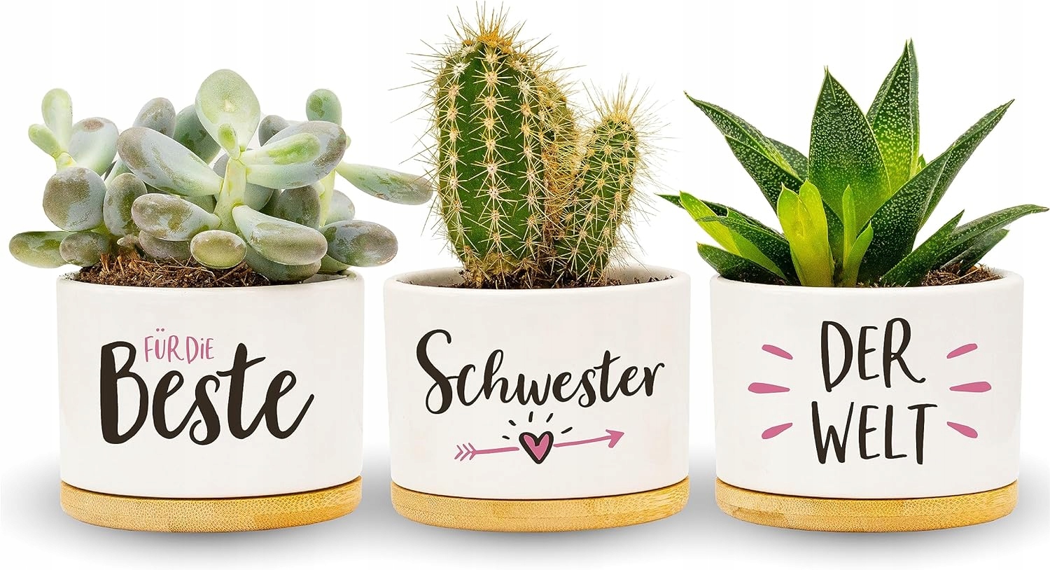 Květináč Na Květiny Je Nejlepší Dárek K Výsadbě Rostlin