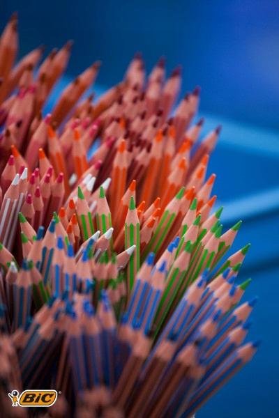 BIC KIDS EVOLUTION STRIPES KREDKI OŁÓWKOWE BEZDRZEWNE DLA DZIECI 24 KOLORY Rodzaj ołówkowe