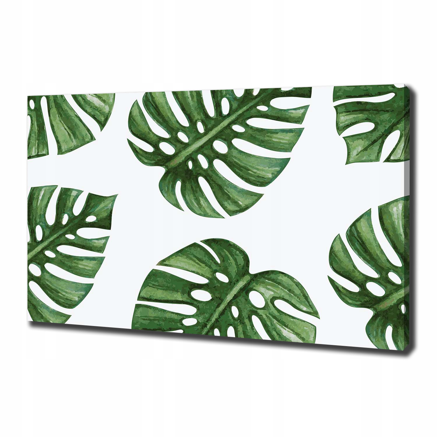 

Foto obraz canvas na ścianę Monstera 100x70 cm