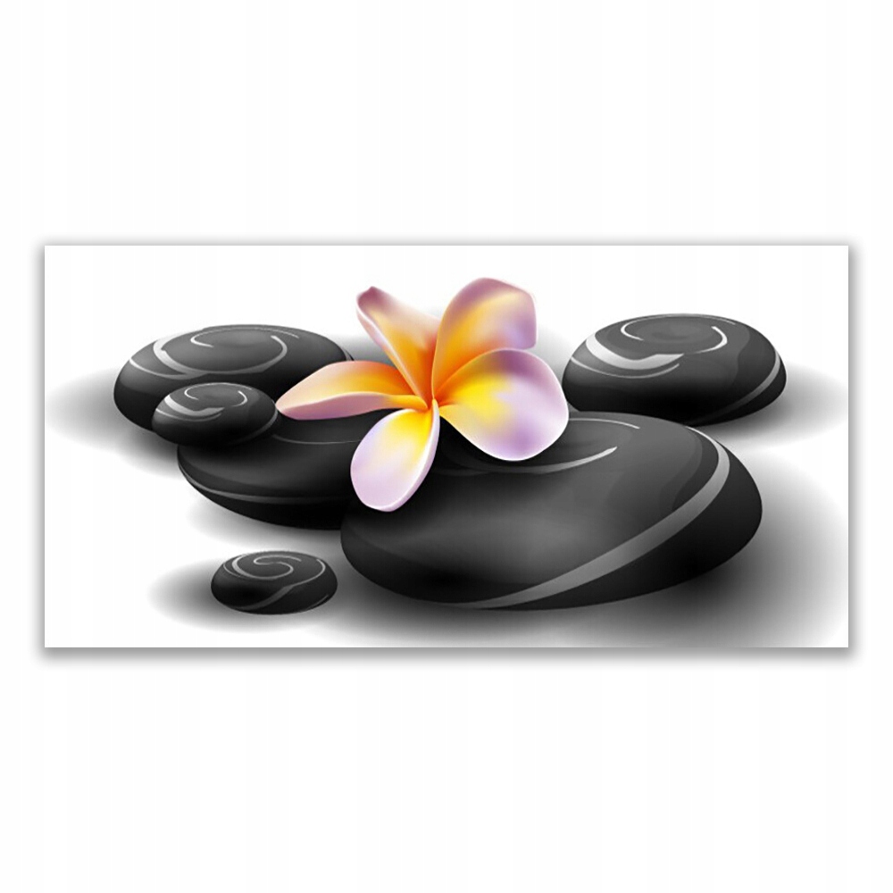 

Fotoobraz nowoczesny 140x70 Kwiat Kamienie Natura