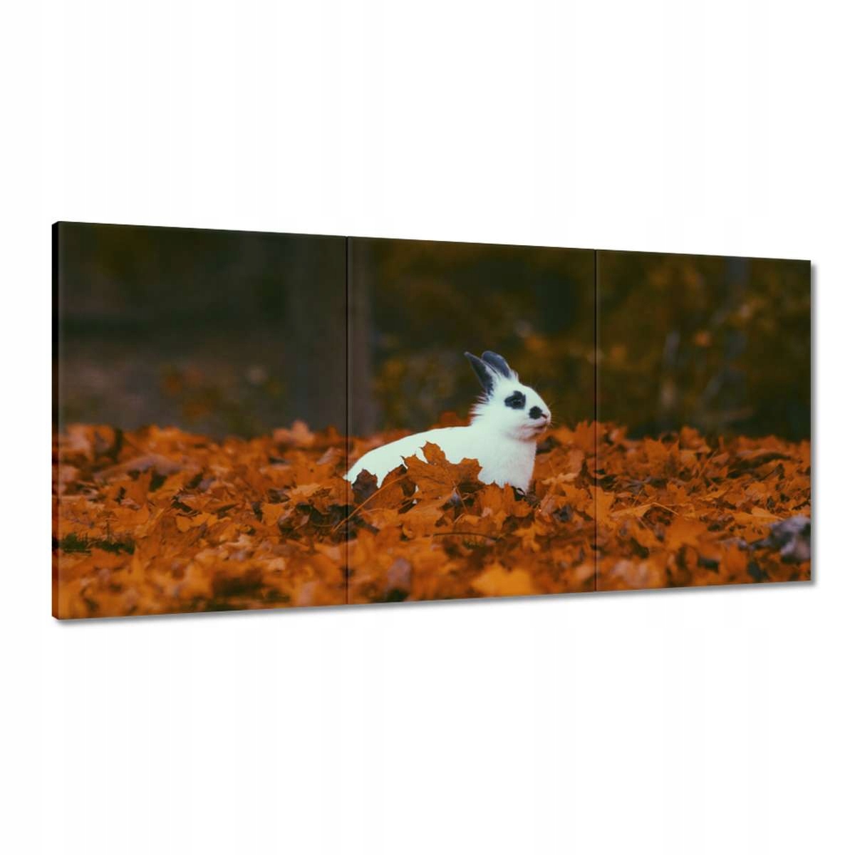 Obrazy 180x90 Zvieratá Zvieratká