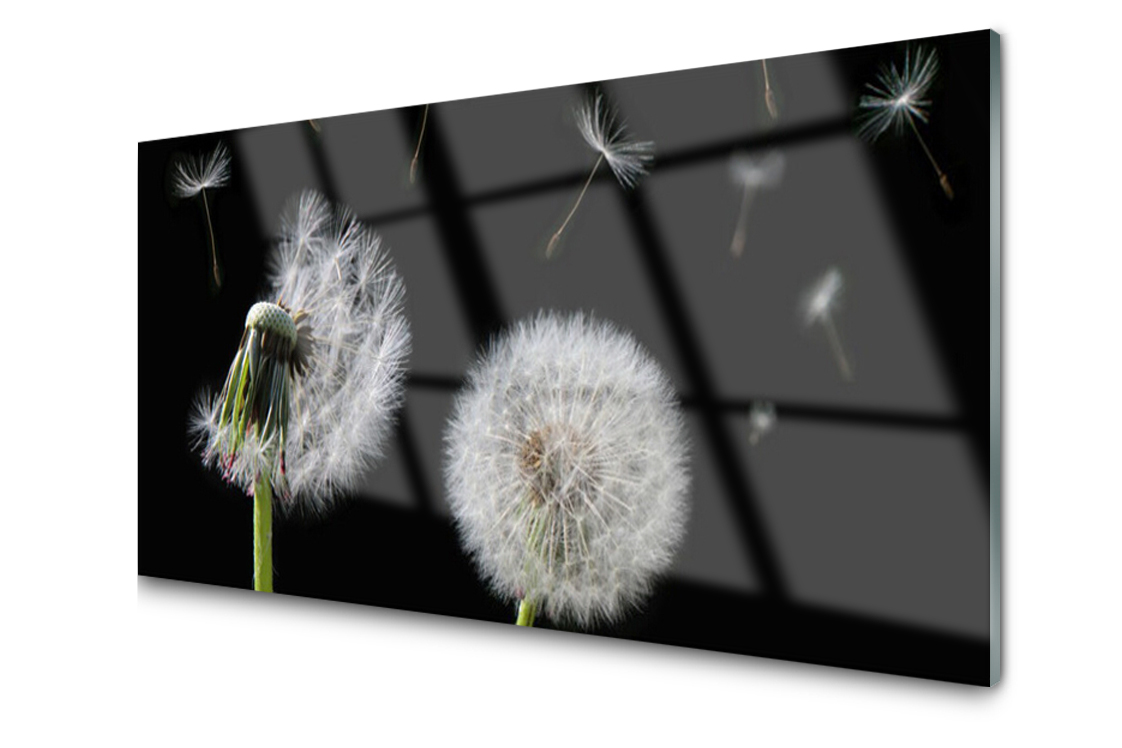 

Panel szklany dekor Dmuchawiec Kwiat 120x60