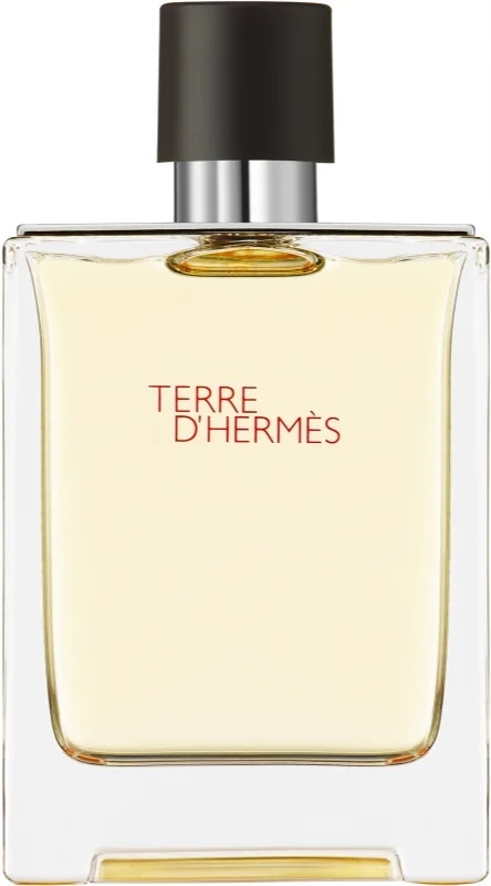Hermes Terre d´Hermes EDT 100 ml