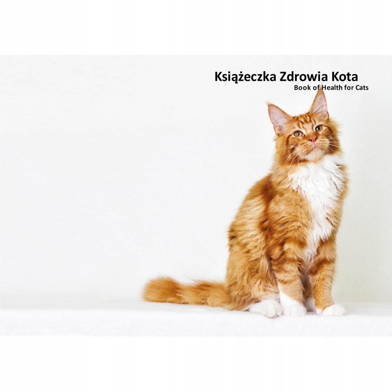 

Książeczka zdrowia kota Maine Coon rudy