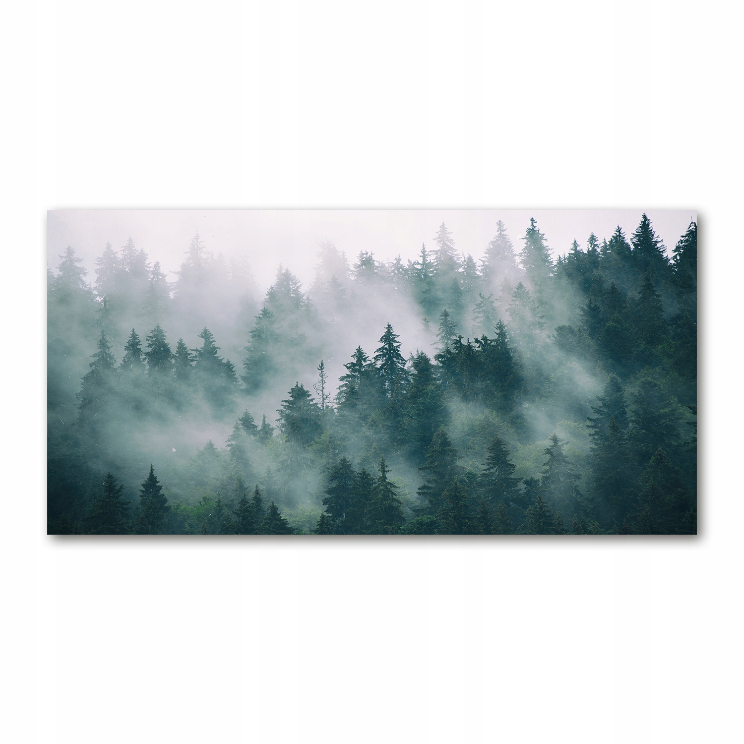 

Foto-obraz akryl Mgła nad lasem zdjęcie 140x70 cm