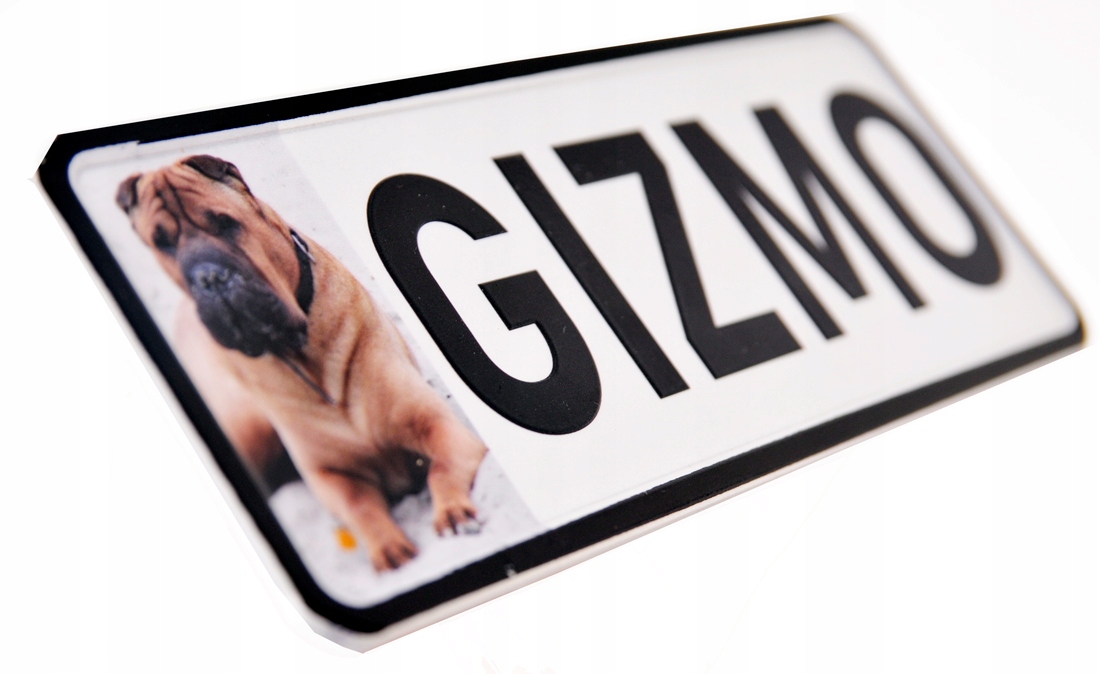 

Tablica rejestracyjna mini +zdjęcie pupila