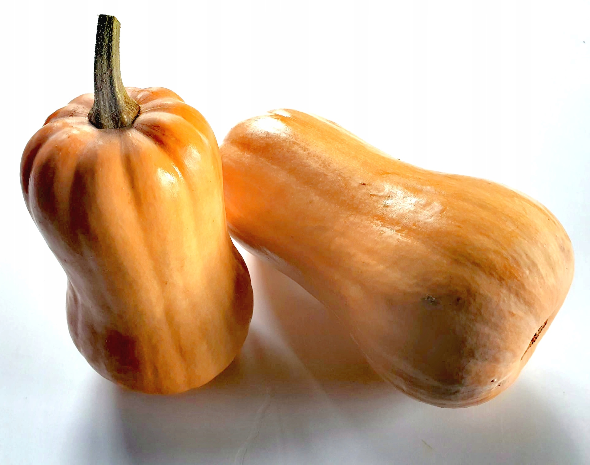 DYNIA PIŻMOWA |BUTTERNUT|1szt |NA ZUPĘ| KREM | DO PIECZENIA| SIGMA FRESH