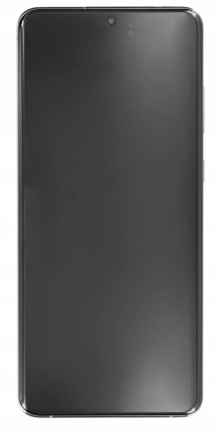 LCD displej Samsung Galaxy S21 Ultra 5G G998B