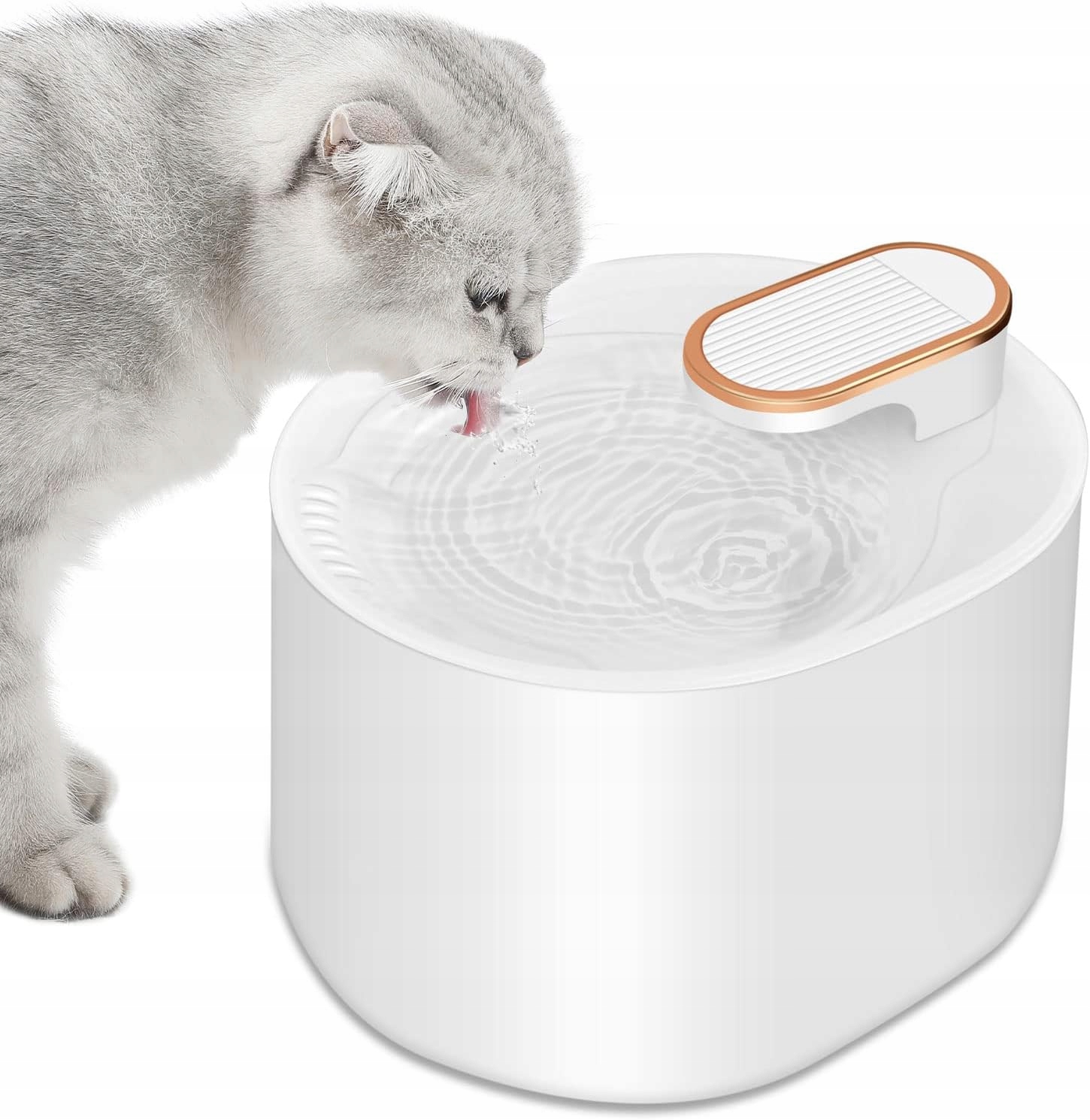 Levně Filtrační Krmítko Pro Kočky 3 L S Podsvícením A Usb