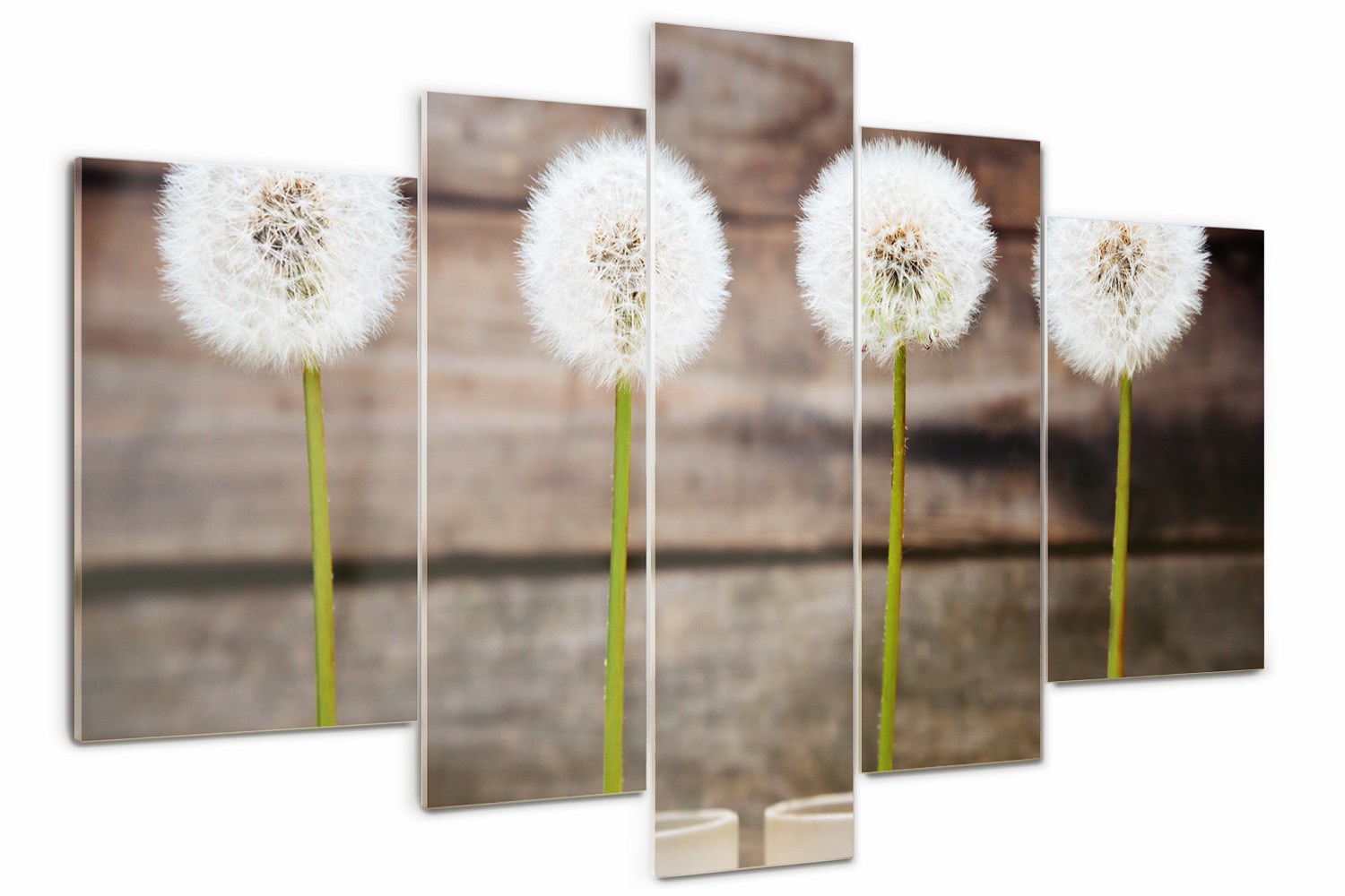 

Foto Obraz szklany duży tryptyk Dmuchawce kwiaty