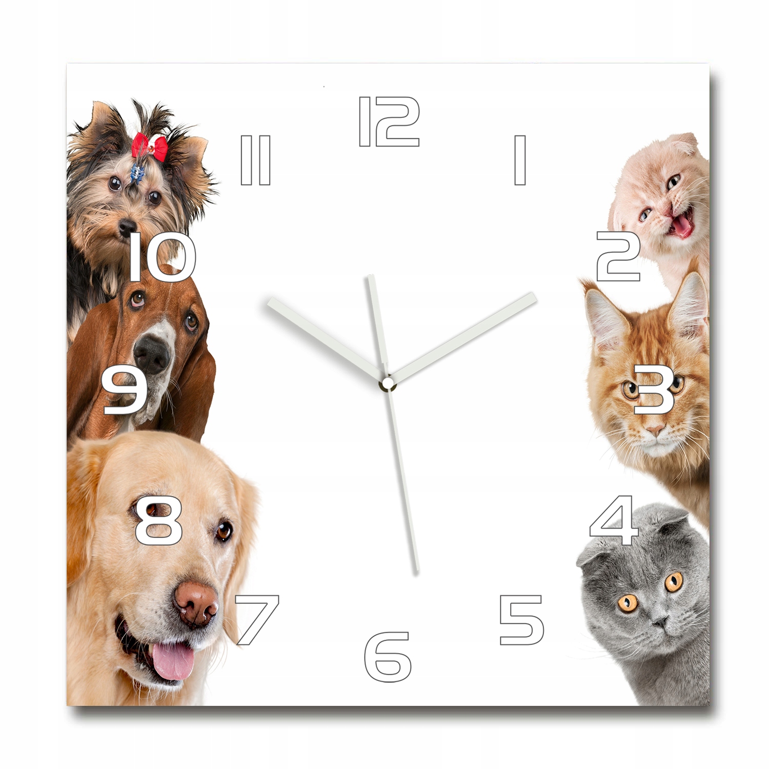 

Duży kwadratowy szklany zegar Psy i koty 60x60 cm