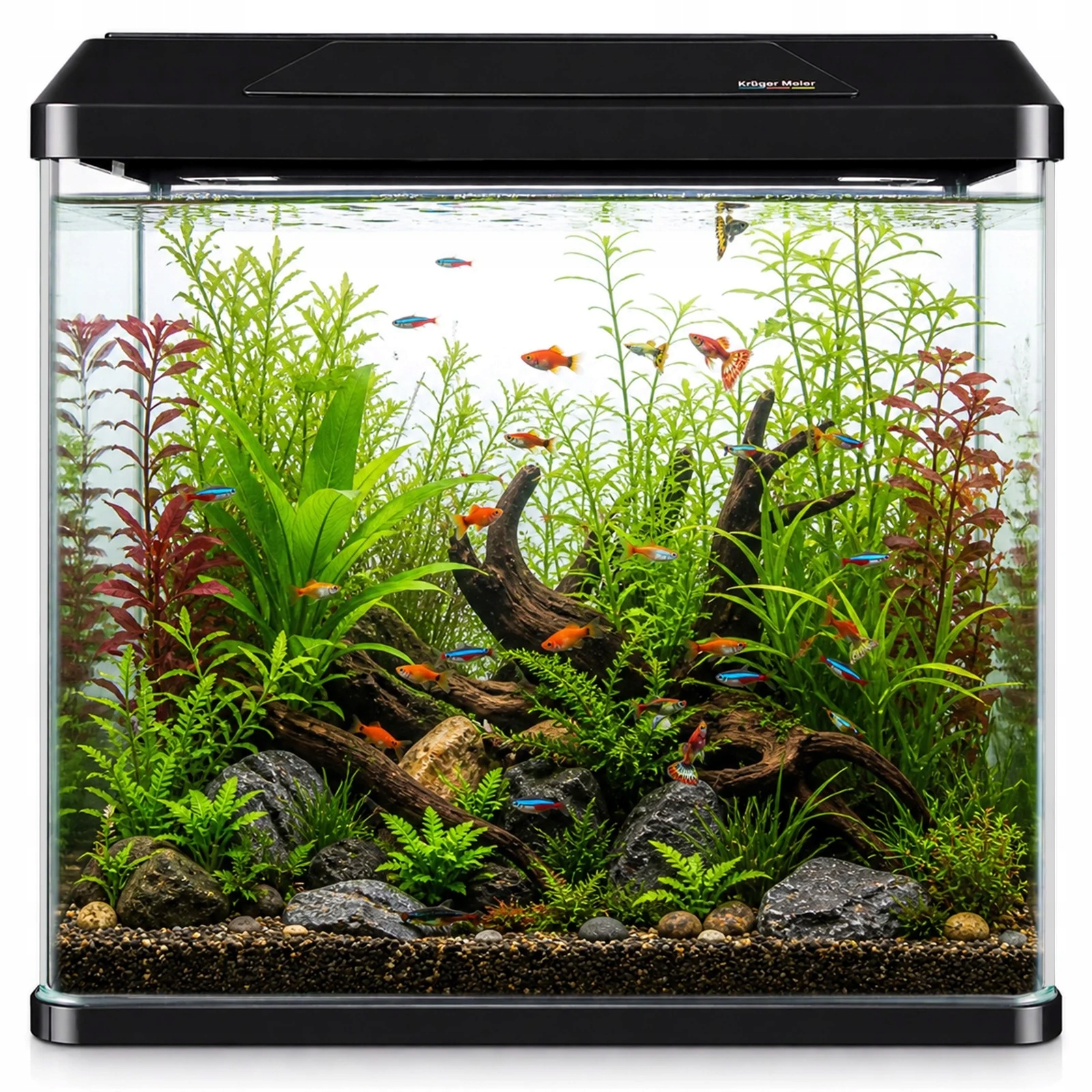 Zestaw Akwarium 30L Panoramiczne Led Wrgb Dla Roslin I Ryb Idealne Do Domu