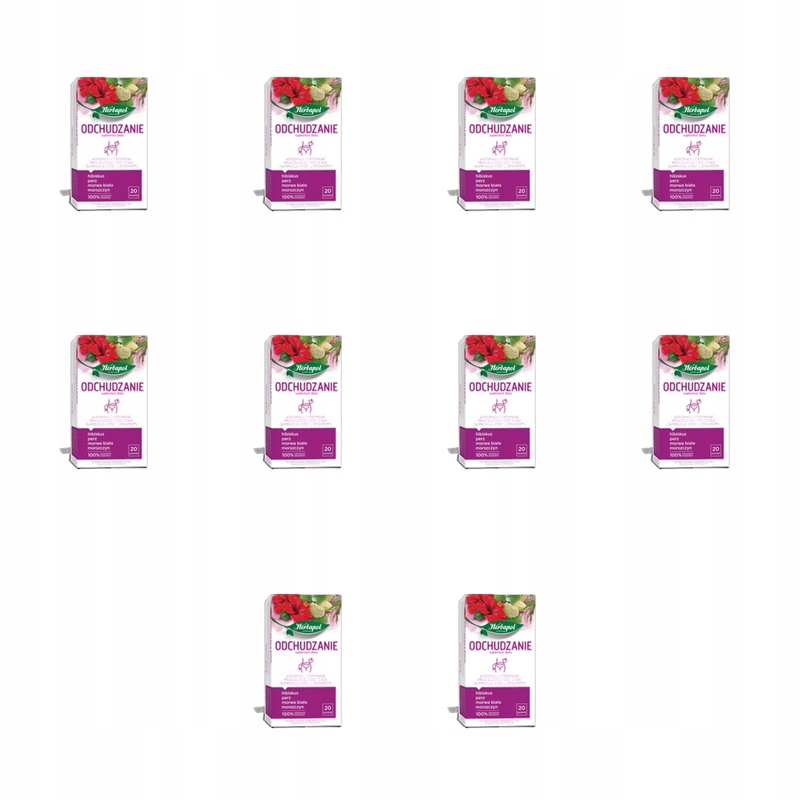 Herbapol Čaj na hubnutí. Doplněk stravy. 20 tb x 2 g. 40 g X10