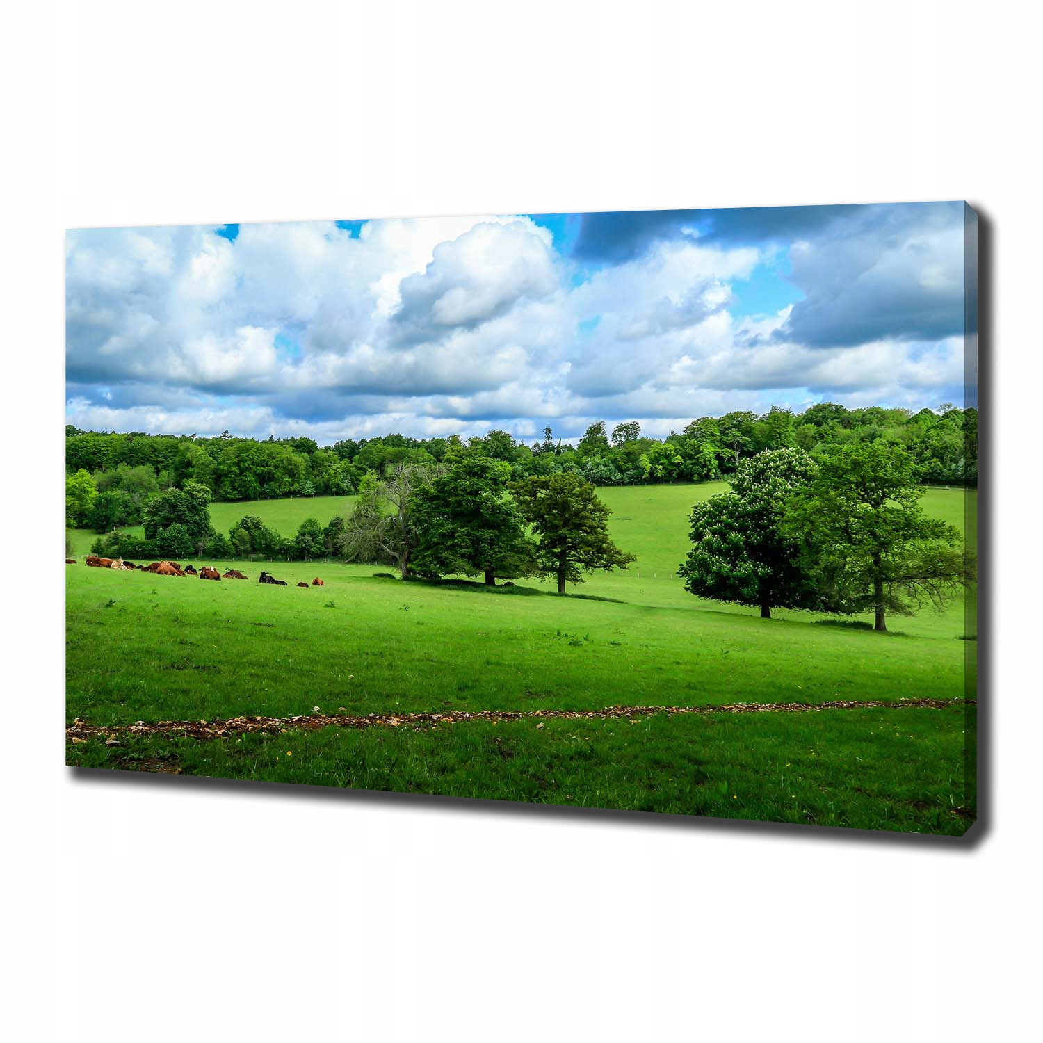 

Foto obraz na płótnie Zielone wzgórza 100x70 cm