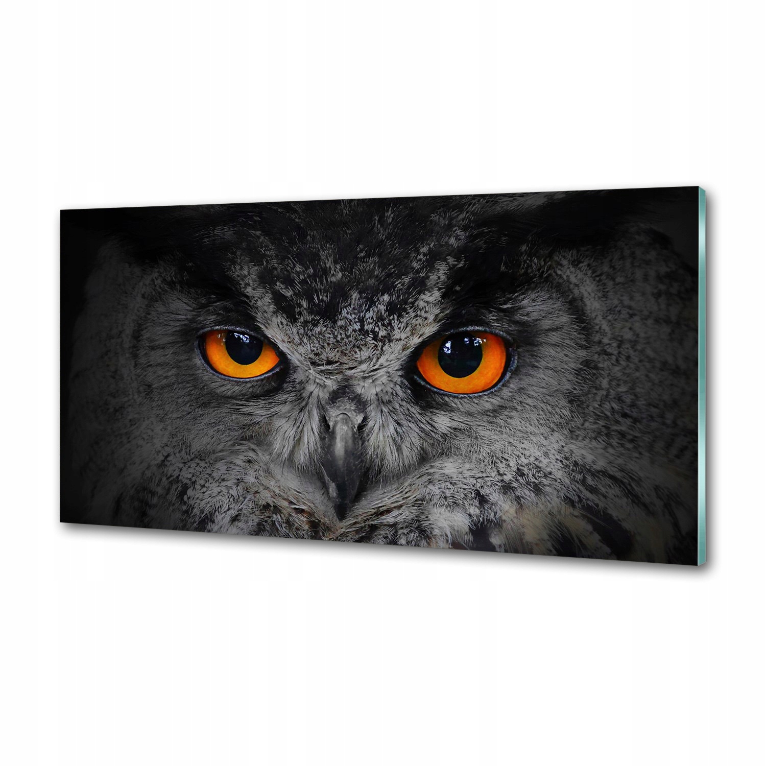 Lacobel panel Ďábelské oči sovy 120x60 cm Lepidlo