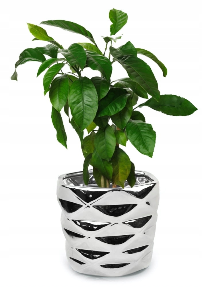 DONICZKA OSŁONKA CERAMICZNA NOWOCZESNA 12,5 CM Marka Polnix