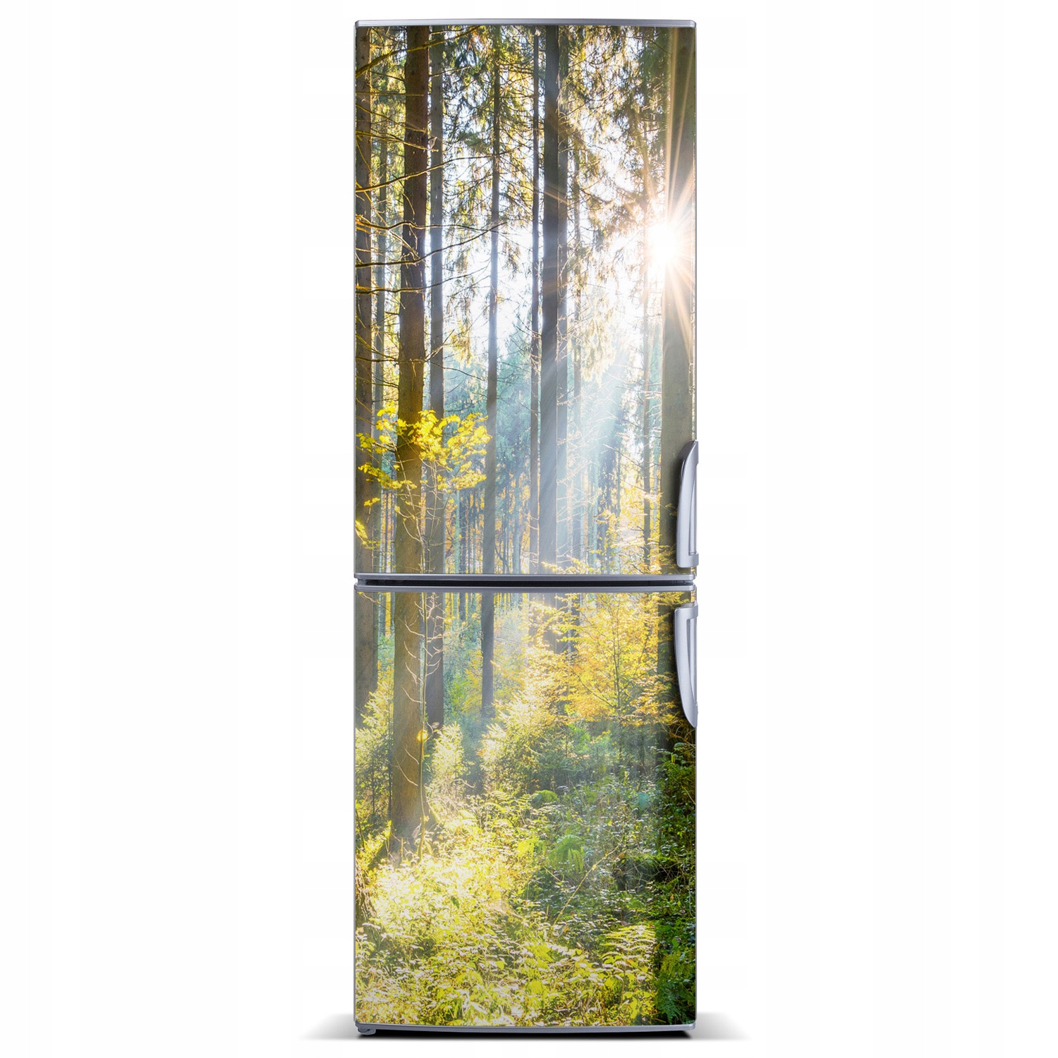 

Magnes Tapeta na lodówkę Słońce w lesie 60x180