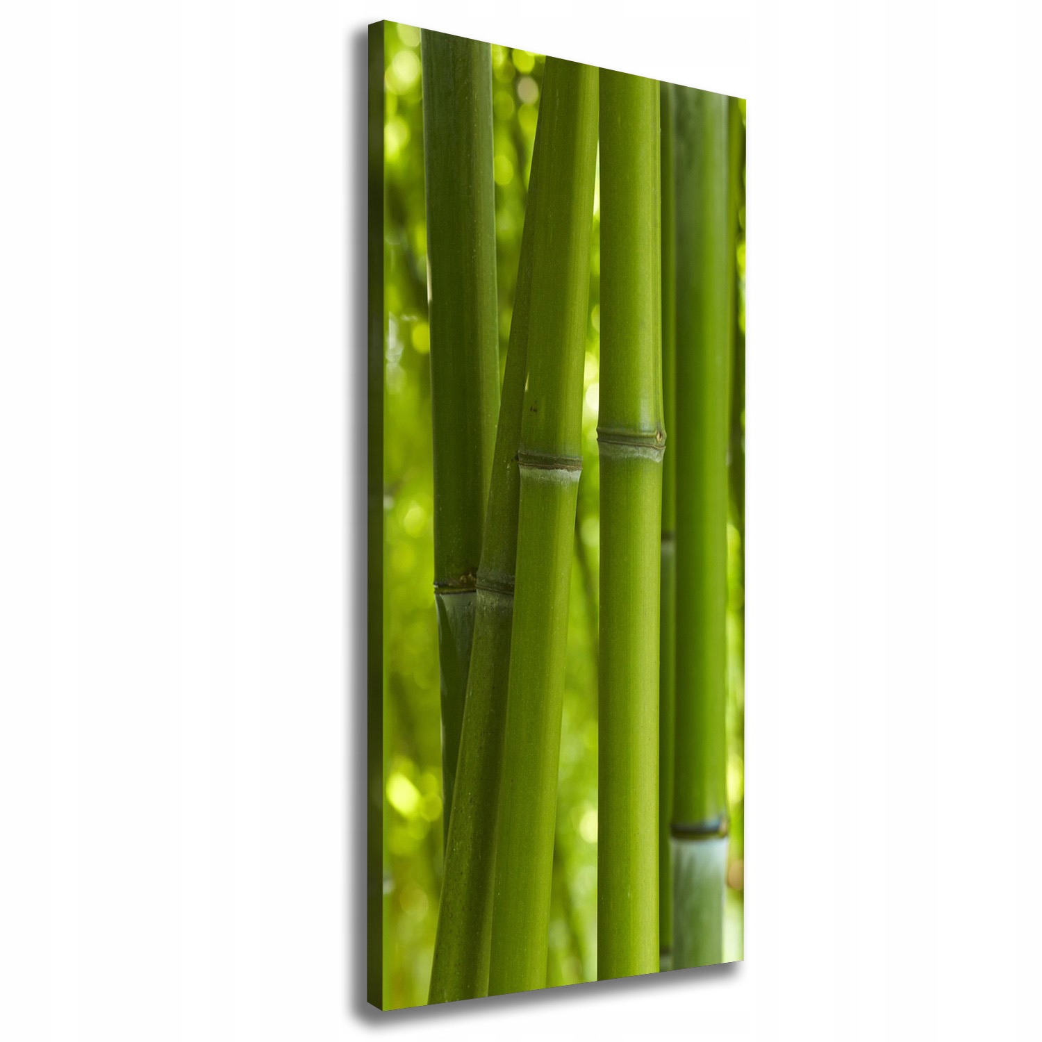 Fotoobraz obraz na plátně Bambusový les 50x125 cm