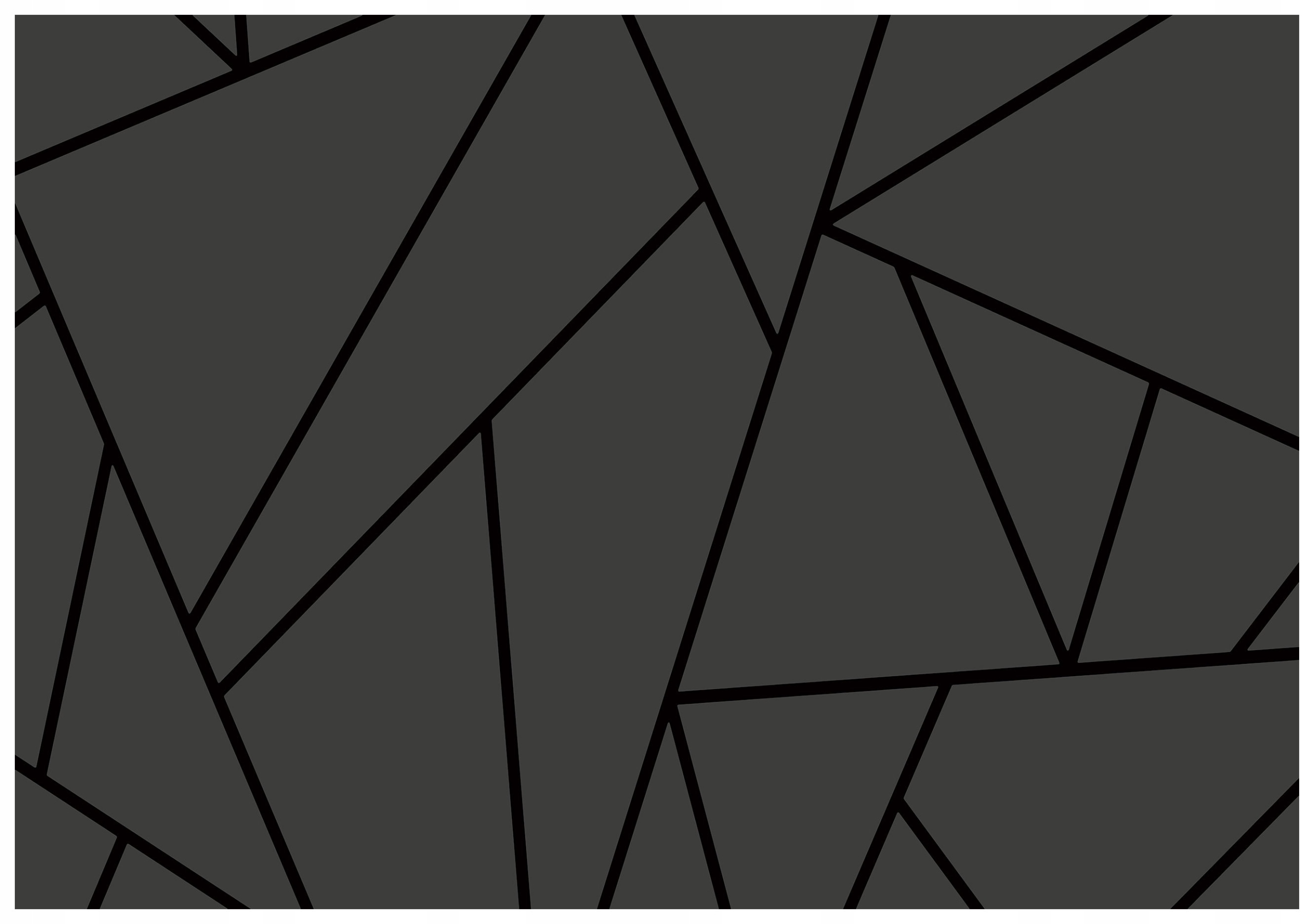 Fototapeta Geometrické postavy tmavě šedá vinylová 368x254 lepidlo