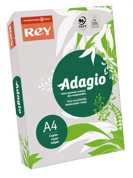 

Papier ksero kolorowy A4 80g 500ark szary