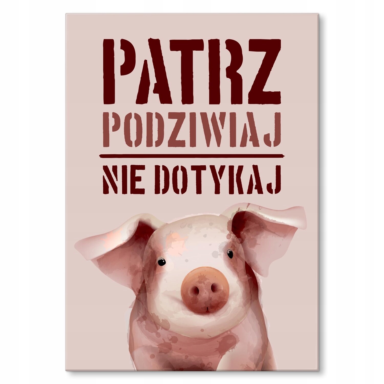 Kovový plakát Podívejte se a obdivujte Dárek 22 x 31 cm