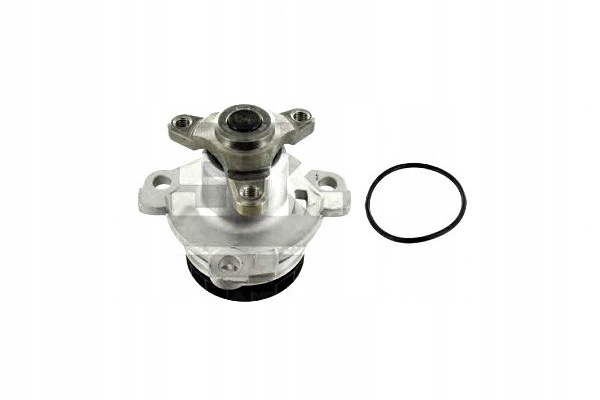Skf Vodní Čerpadlo Renault 2,0DCI Laguna Megane 05- Sk
