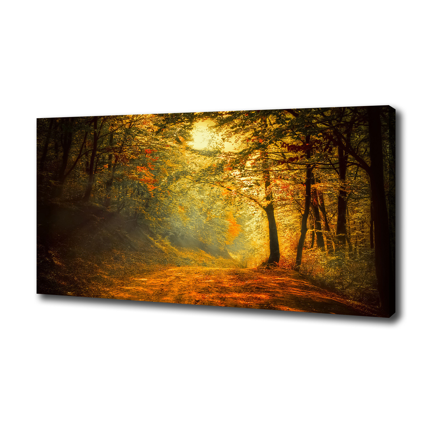 

Duży foto obraz na płótnie Las jesienią 100x50 cm