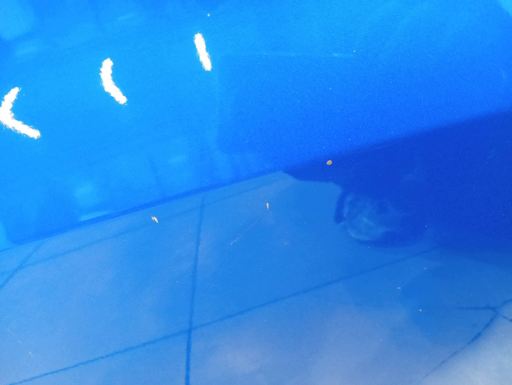 door right front ESM Peugeot 208 II (2019- )