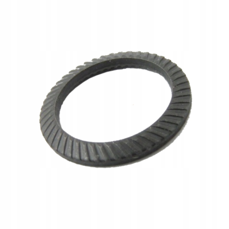 

Podkładki Schnorr typ S M14 Cz 500szt